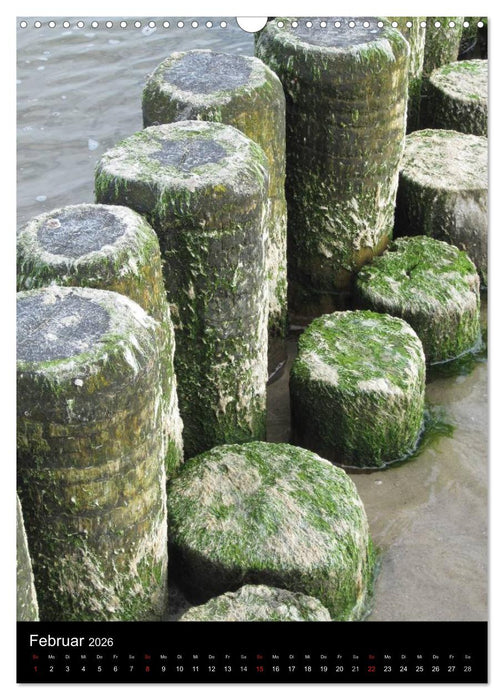 Ostseeblicke (CALVENDO Wandkalender 2026)