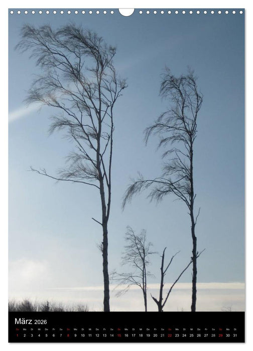 Ostseeblicke (CALVENDO Wandkalender 2026)
