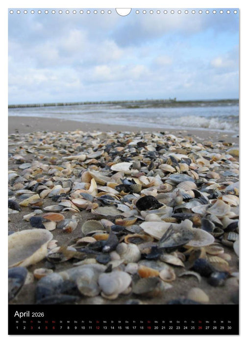 Ostseeblicke (CALVENDO Wandkalender 2026)