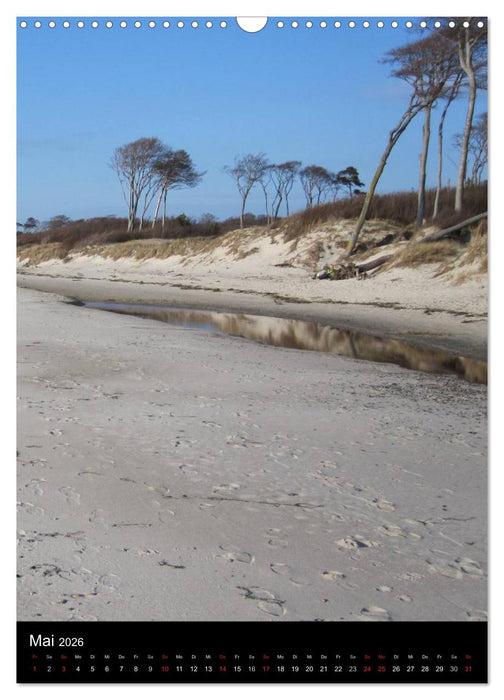 Ostseeblicke (CALVENDO Wandkalender 2026)