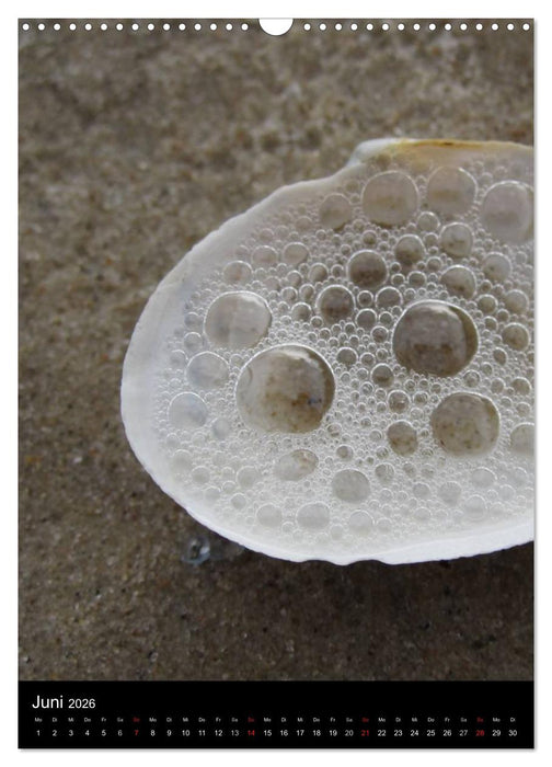 Ostseeblicke (CALVENDO Wandkalender 2026)