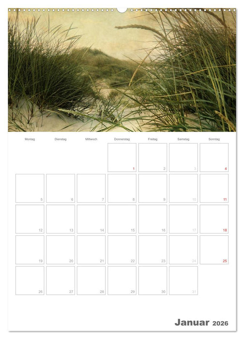 Dänemarks Westküste (CALVENDO Premium Wandkalender 2026)