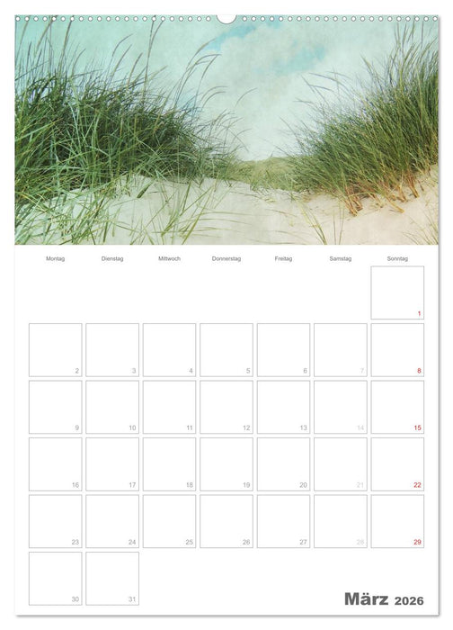 Dänemarks Westküste (CALVENDO Premium Wandkalender 2026)