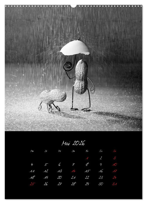 Simple Things 2026 (CALVENDO Premium Wandkalender 2026)