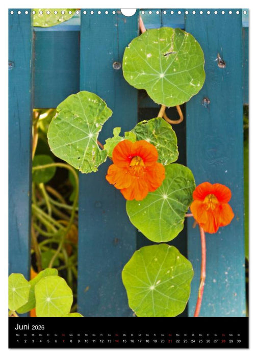 Spiekeroog (CALVENDO Wandkalender 2026)