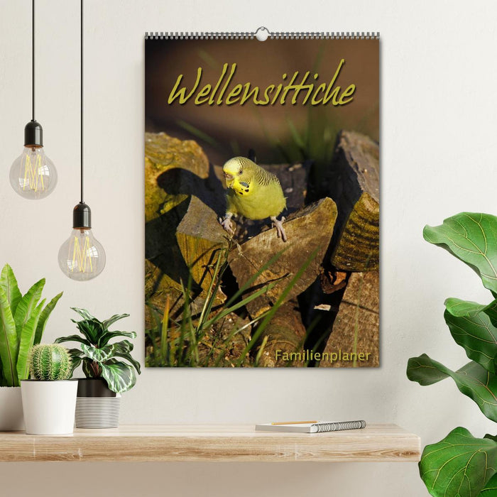 Wellensittiche (CALVENDO Wandkalender 2026)