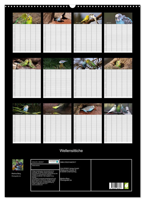 Wellensittiche (CALVENDO Wandkalender 2026)