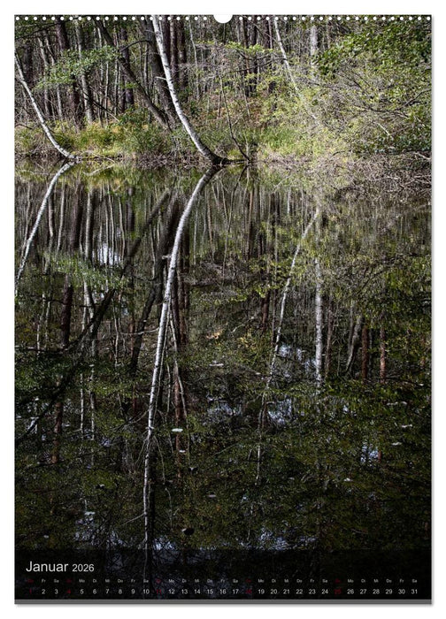 Kunstkalender 2026 (CALVENDO Wandkalender 2026)