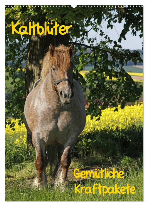 Kaltblüter (CALVENDO Wandkalender 2026)