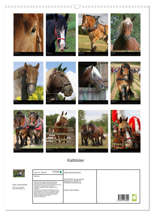 Kaltblüter (CALVENDO Wandkalender 2026)
