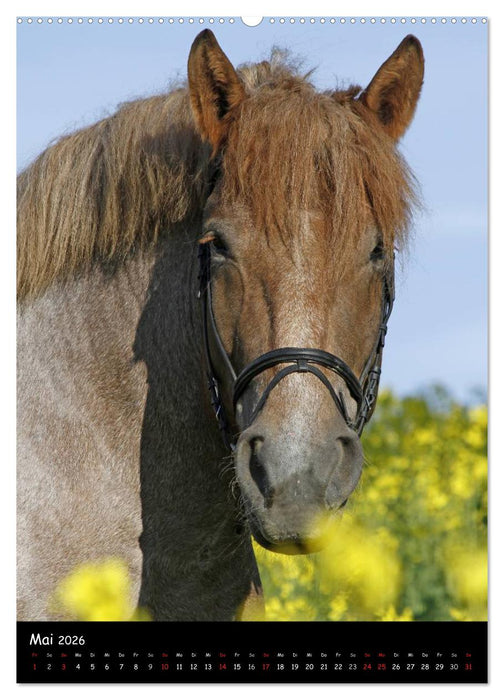 Kaltblüter (CALVENDO Wandkalender 2026)