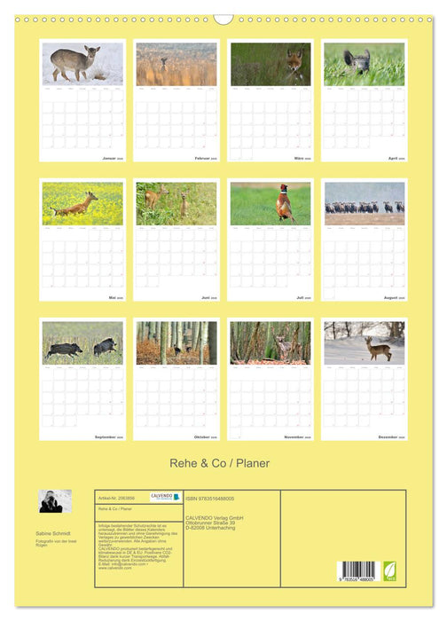 Rehe & Co / Planer (CALVENDO Wandkalender 2026)