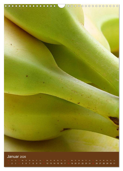 Obst und Gemüse (CALVENDO Wandkalender 2026)