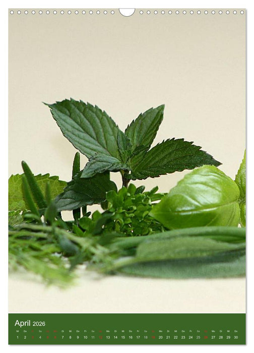 Obst und Gemüse (CALVENDO Wandkalender 2026)