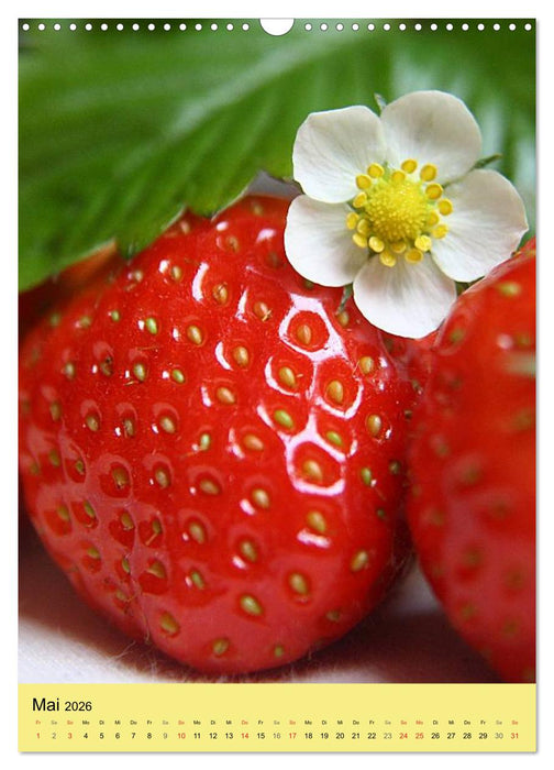 Obst und Gemüse (CALVENDO Wandkalender 2026)