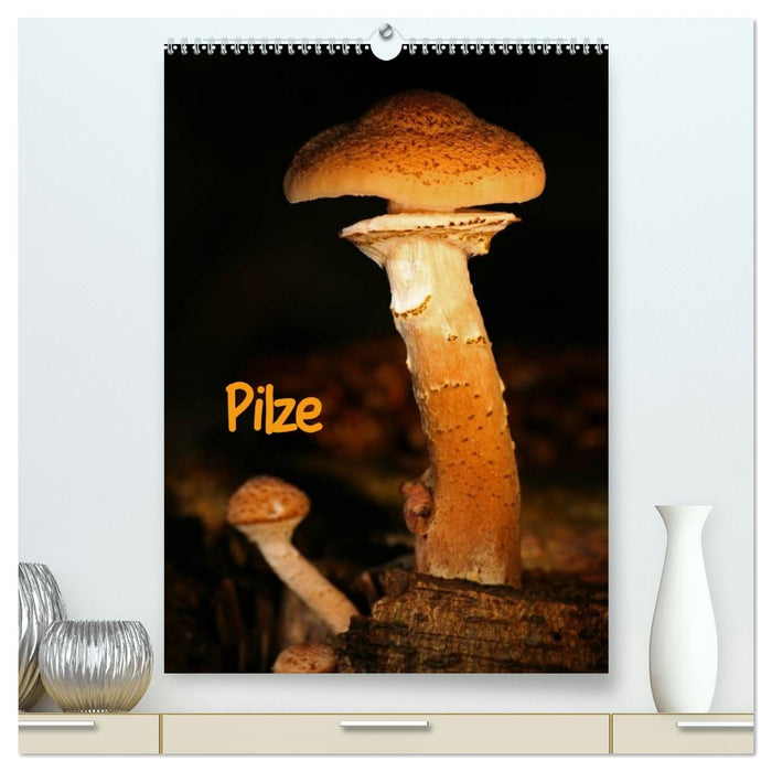 Pilze (CALVENDO Premium Wandkalender 2026)