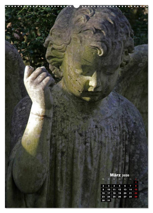 Engel (CALVENDO Wandkalender 2026)