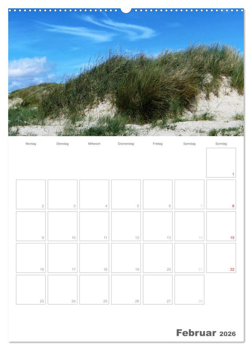 Dänemarks Westküste (CALVENDO Wandkalender 2026)
