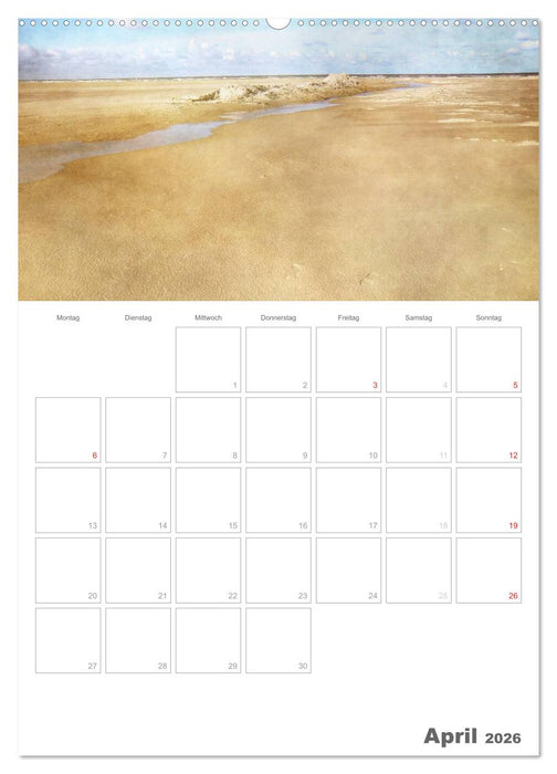 Dänemarks Westküste (CALVENDO Wandkalender 2026)