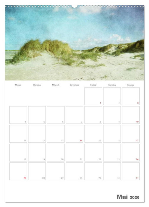 Dänemarks Westküste (CALVENDO Wandkalender 2026)