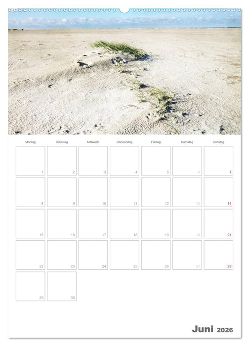 Dänemarks Westküste (CALVENDO Wandkalender 2026)