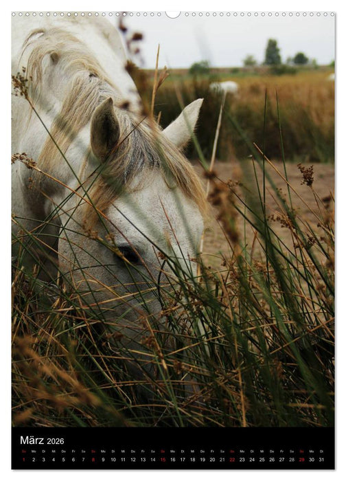 Frankreich - Wandkalender (CALVENDO Wandkalender 2026)