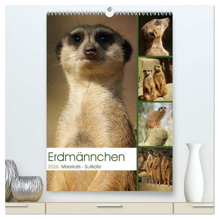 Erdmännchen-Meerkats-Surikate (CALVENDO Premium Wandkalender 2026)