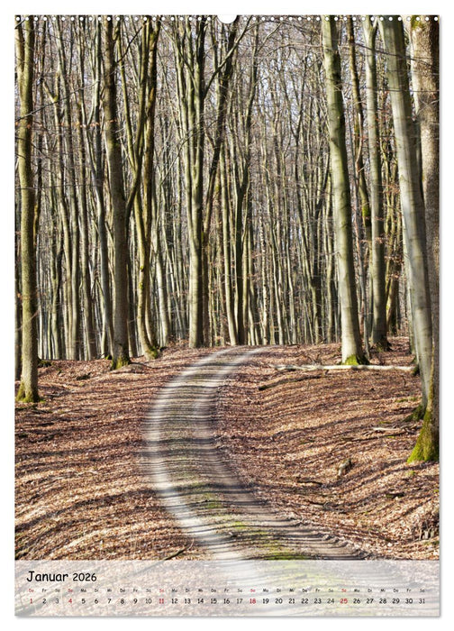 Wege als Traumpfade (CALVENDO Premium Wandkalender 2026)