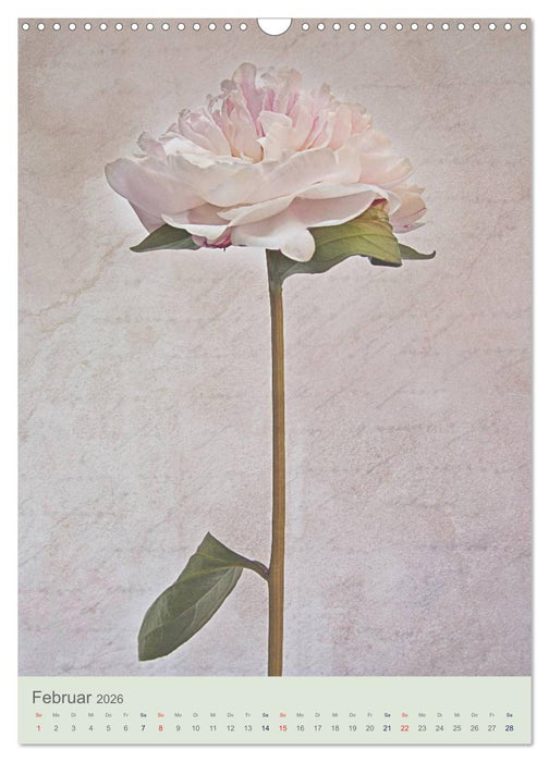 Flora (CALVENDO Wandkalender 2026)
