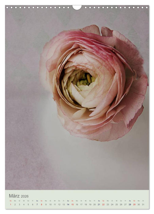 Flora (CALVENDO Wandkalender 2026)