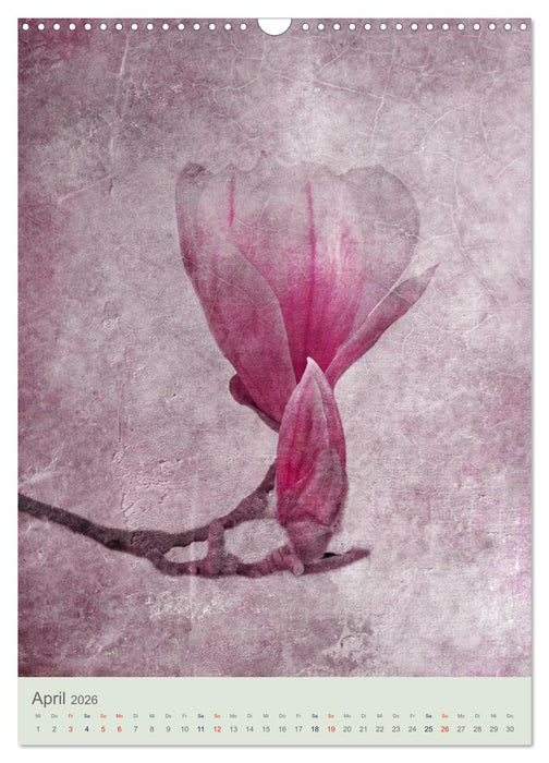 Flora (CALVENDO Wandkalender 2026)