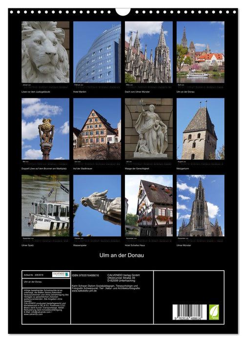 Ulm an der Donau (CALVENDO Wandkalender 2026)