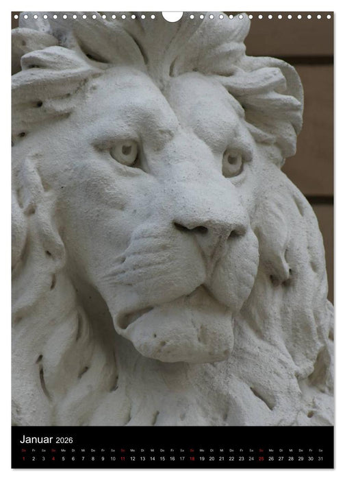 Ulm an der Donau (CALVENDO Wandkalender 2026)