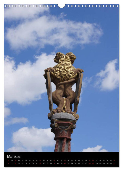 Ulm an der Donau (CALVENDO Wandkalender 2026)