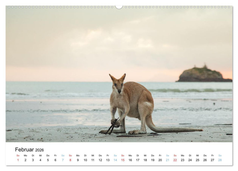 Australiens wunderbare Tiere (CALVENDO Premium Wandkalender 2026)