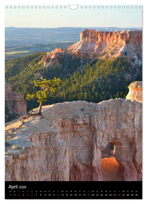 USA 2026 (CALVENDO Wandkalender 2026)