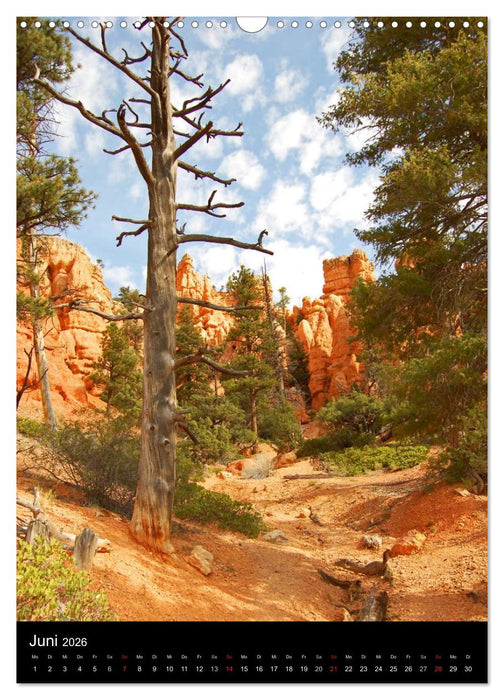 USA 2026 (CALVENDO Wandkalender 2026)