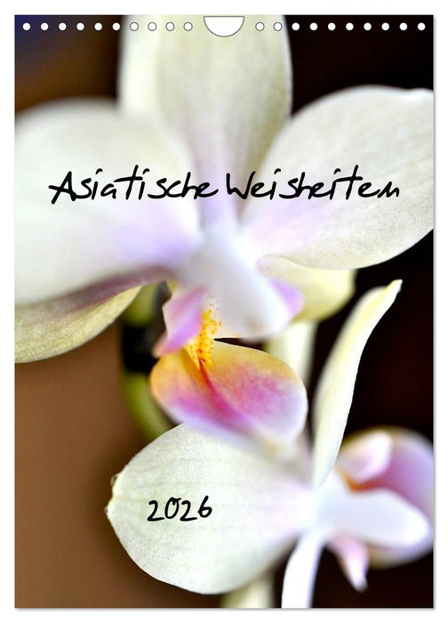 Asiatische Weisheiten (CALVENDO Wandkalender 2026)