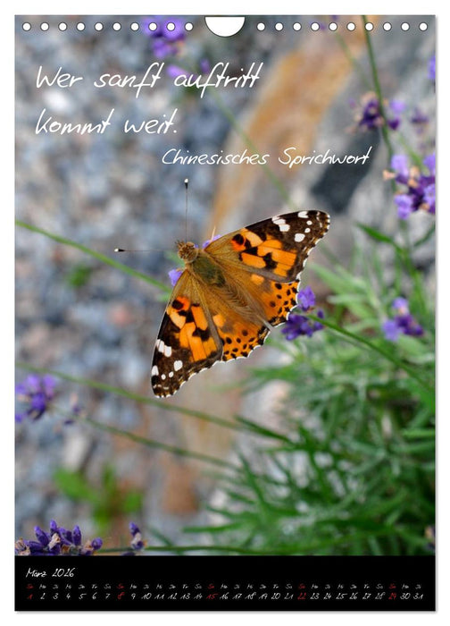 Asiatische Weisheiten (CALVENDO Wandkalender 2026)