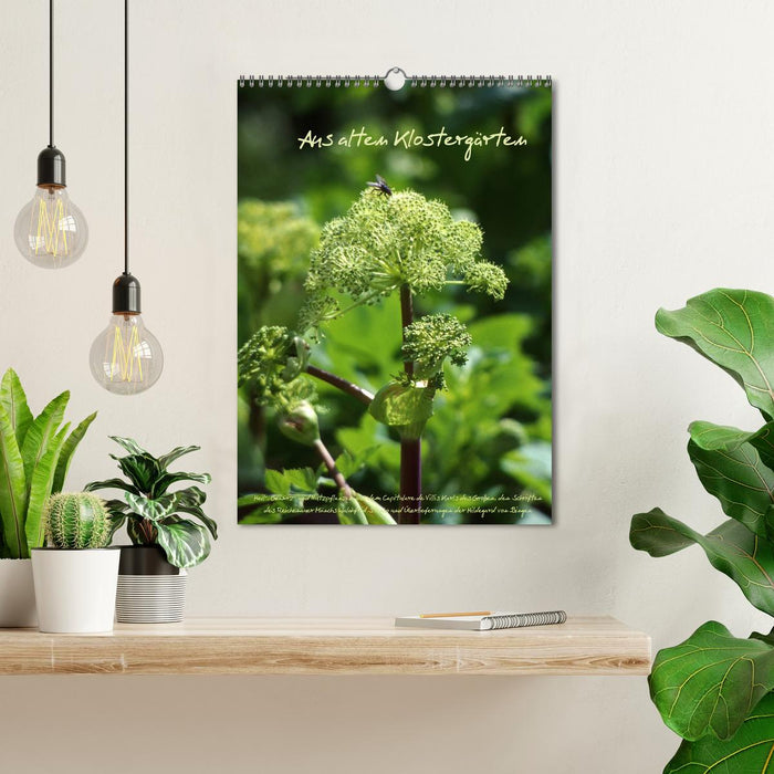 Aus alten Klostergärten (CALVENDO Wandkalender 2026)