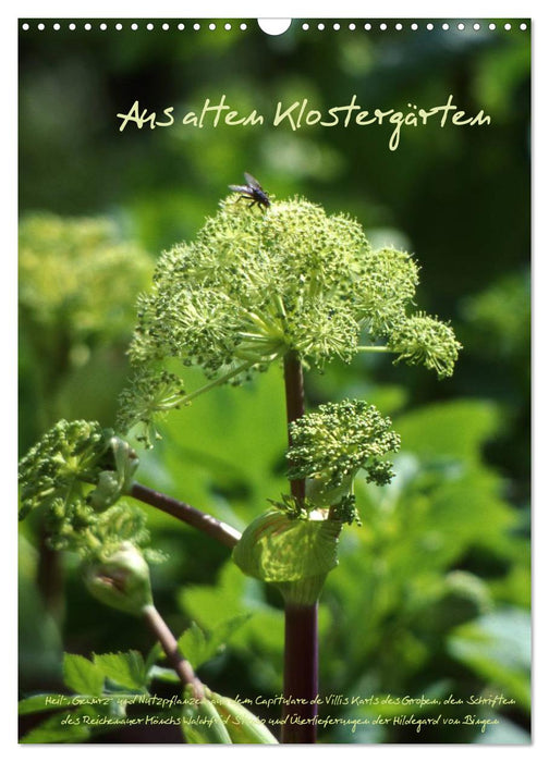 Aus alten Klostergärten (CALVENDO Wandkalender 2026)