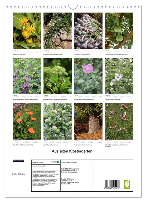 Aus alten Klostergärten (CALVENDO Wandkalender 2026)