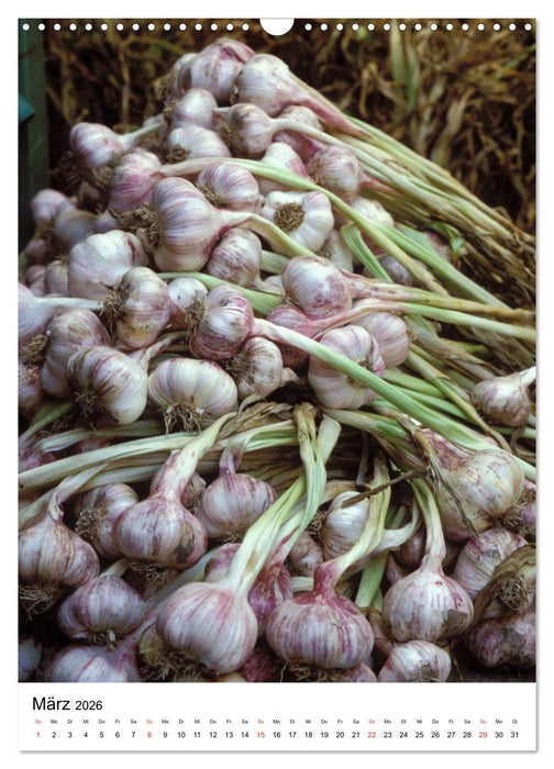 Aus alten Klostergärten (CALVENDO Wandkalender 2026)