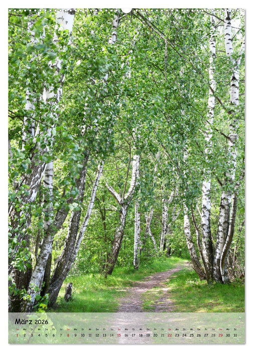 Wege als Traumpfade (CALVENDO Wandkalender 2026)