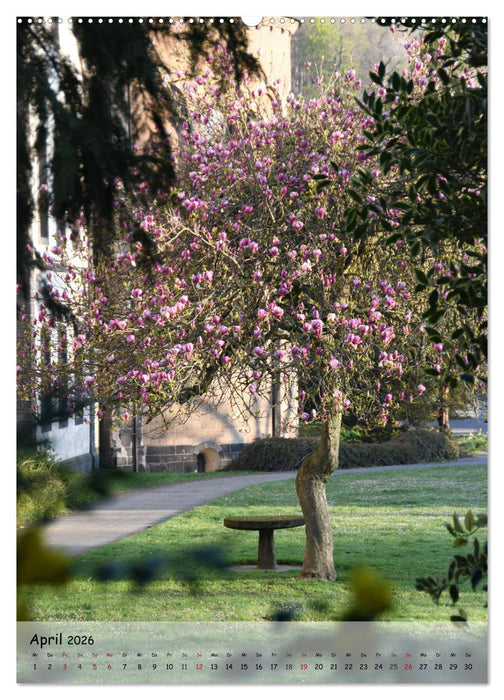 Wege als Traumpfade (CALVENDO Wandkalender 2026)