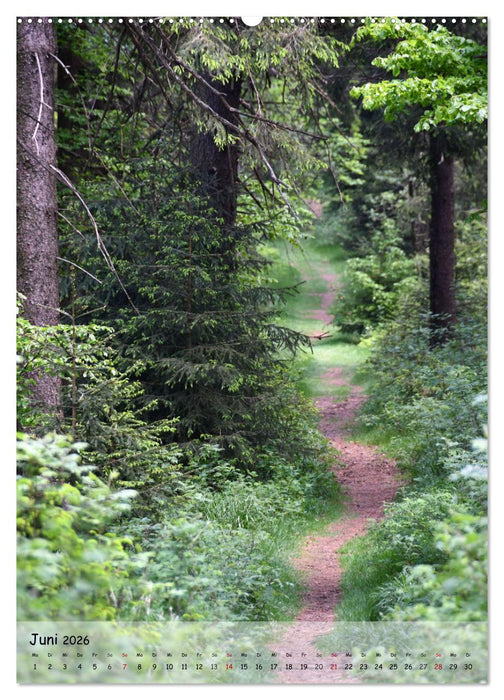 Wege als Traumpfade (CALVENDO Wandkalender 2026)