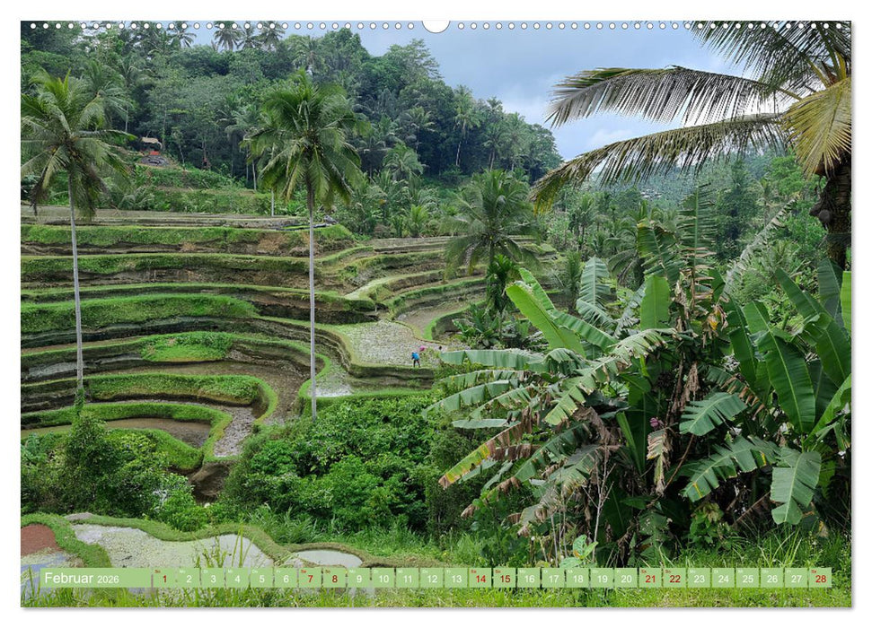 Bali - Götterinsel (CALVENDO Premium Wandkalender 2026)