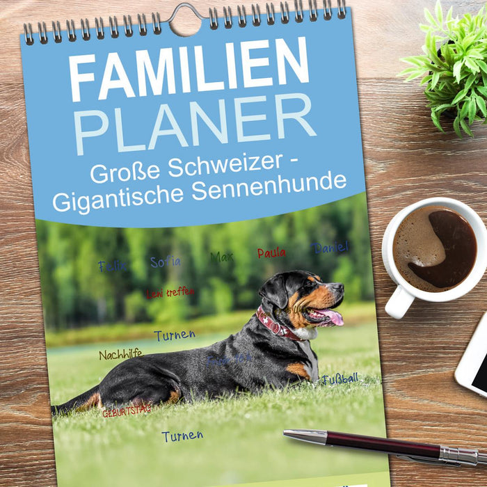 Große Schweizer - Gigantische Sennenhunde (CALVENDO Familienplaner 2026)