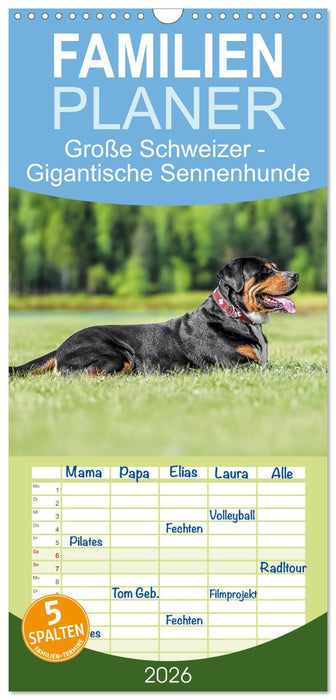 Große Schweizer - Gigantische Sennenhunde (CALVENDO Familienplaner 2026)