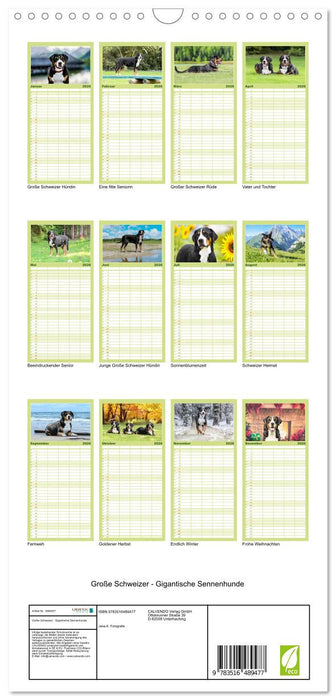 Große Schweizer - Gigantische Sennenhunde (CALVENDO Familienplaner 2026)